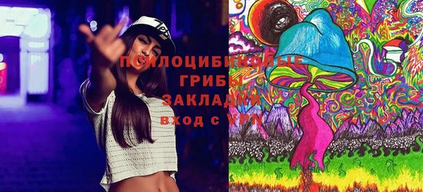 индика Алзамай