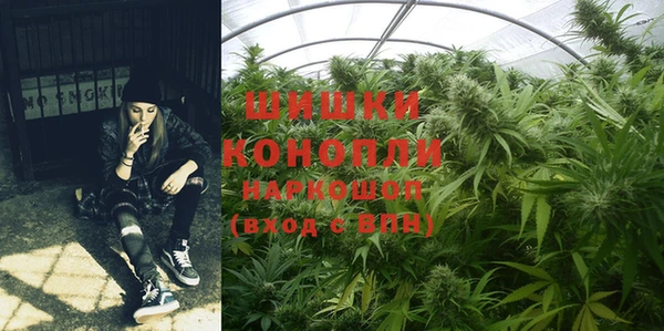 индика Алзамай