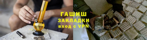 индика Алзамай