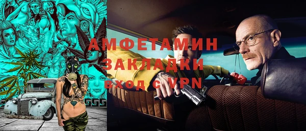 индика Алзамай