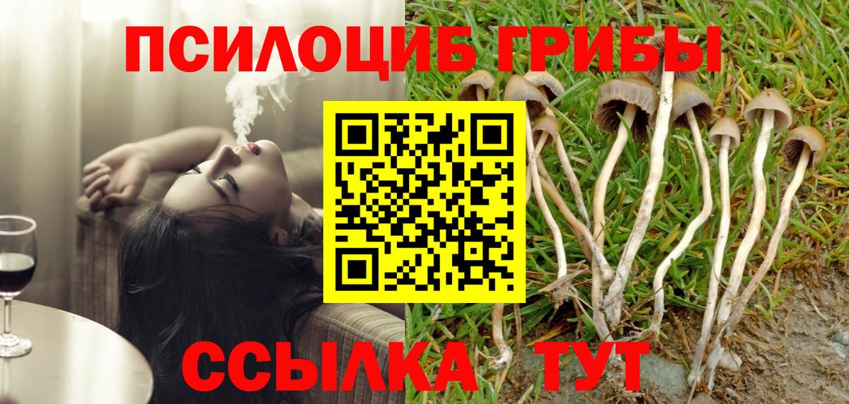 Псилоцибиновые грибы ЛСД  Вход с VPN  купить наркотики цена  Добрянка  Галлюциногенные грибы Cubensis 