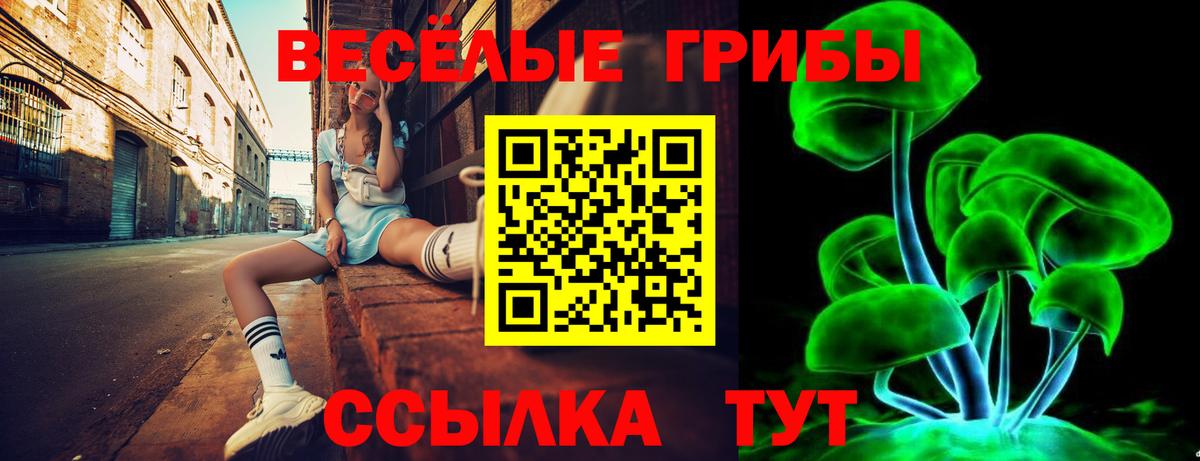 Псилоцибиновые грибы GOLDEN TEACHER Добрянка